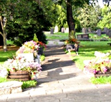 Click for a larger picture of the flowers near St. Mary's Church